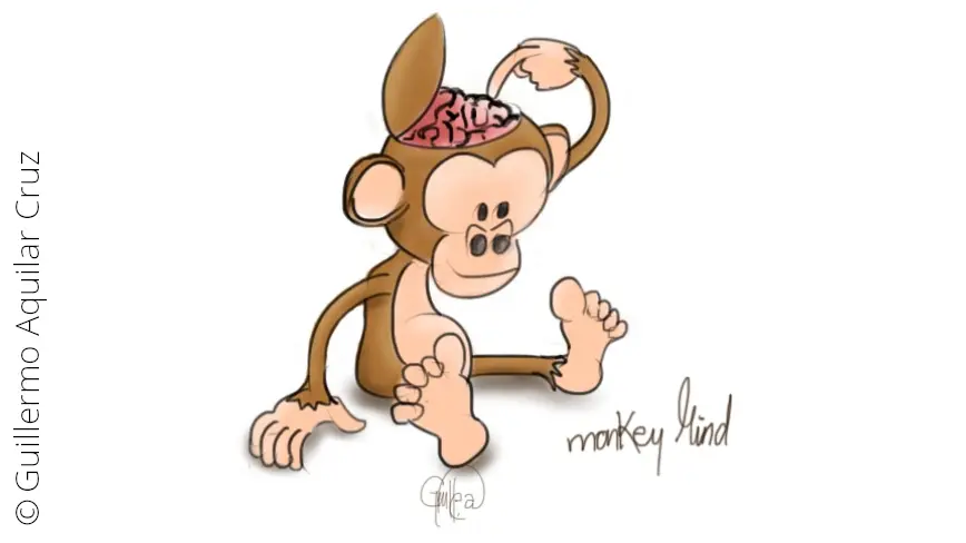 Der Monkey-Mind ist das Symbol des unfokussierten Verstandes Ein Affe als Symbol des Monkey Minds, des unfokussierten Verstandes